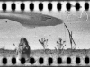kep51