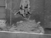 kep50