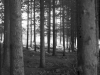 © Fortepan, Storymap.hu